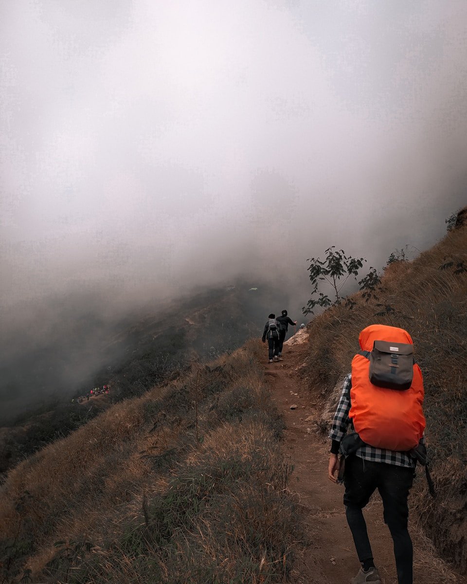 a couple of people that are walking down a hill